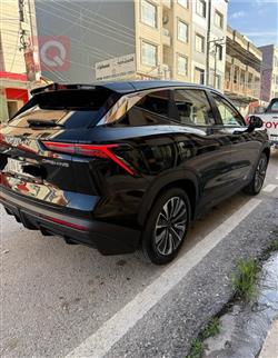 جیتۆر داشينگ